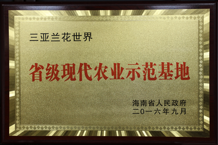 3P2A0214_副本.jpg